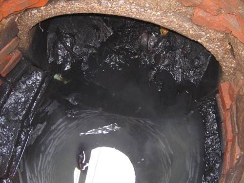 定海污水/雨水井清理